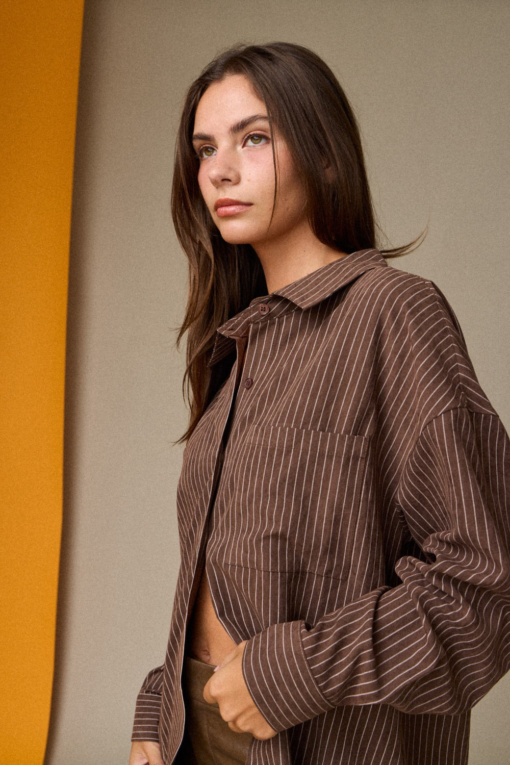 Cora Chocolate Pinstripe Shirt